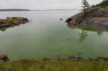 Östersjöns interna fosforbelastning Östersjöns interna fosforbelastning